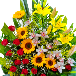 Amanecer Dorado Imperial