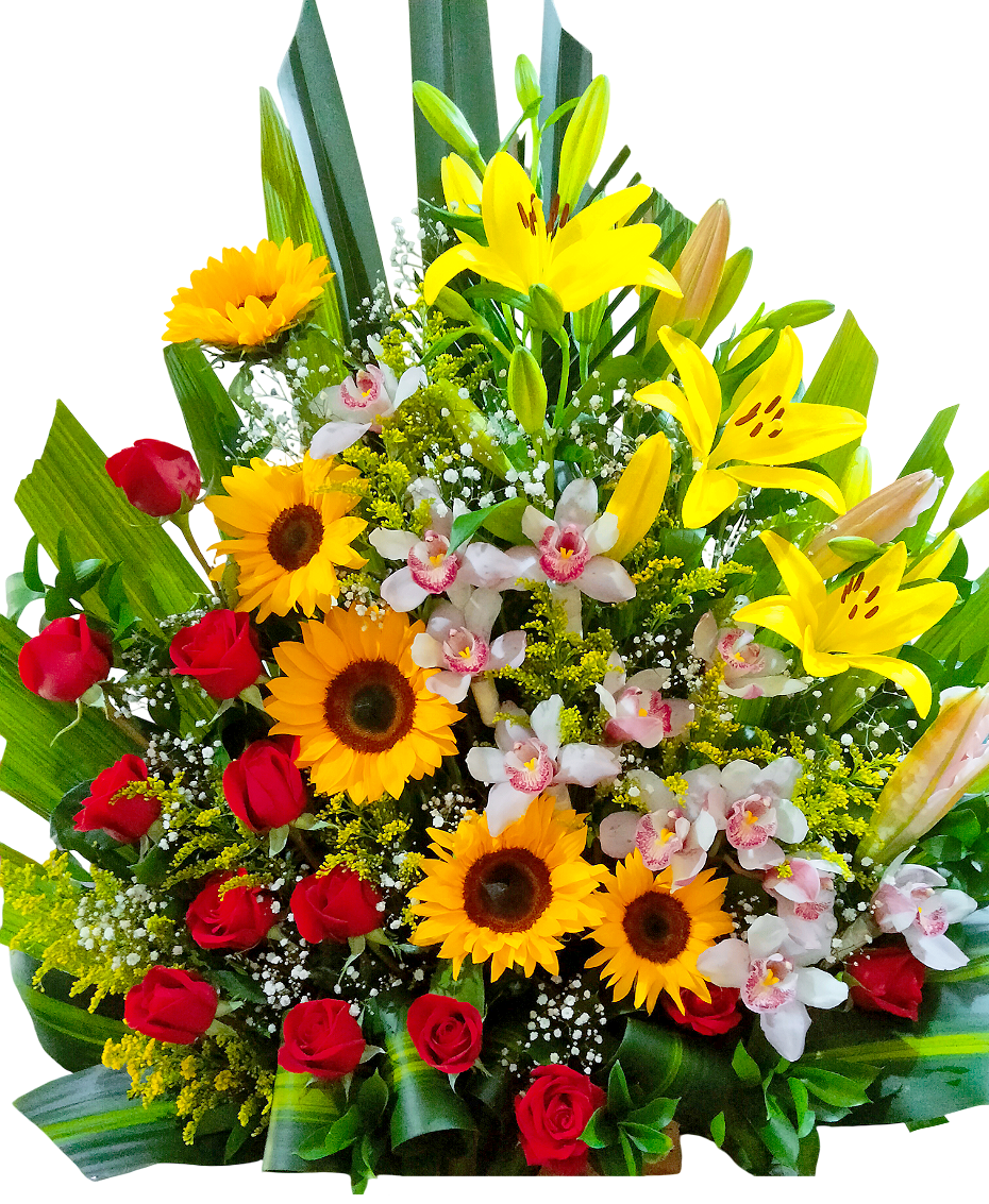 Amanecer Dorado Imperial