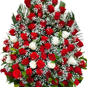 Constelación Carmesí Suprema