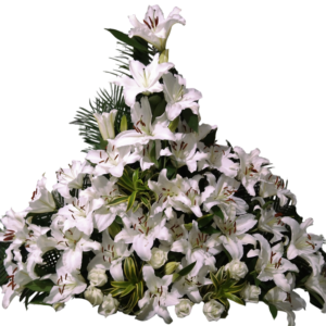 Cumbre Blanca Imperial