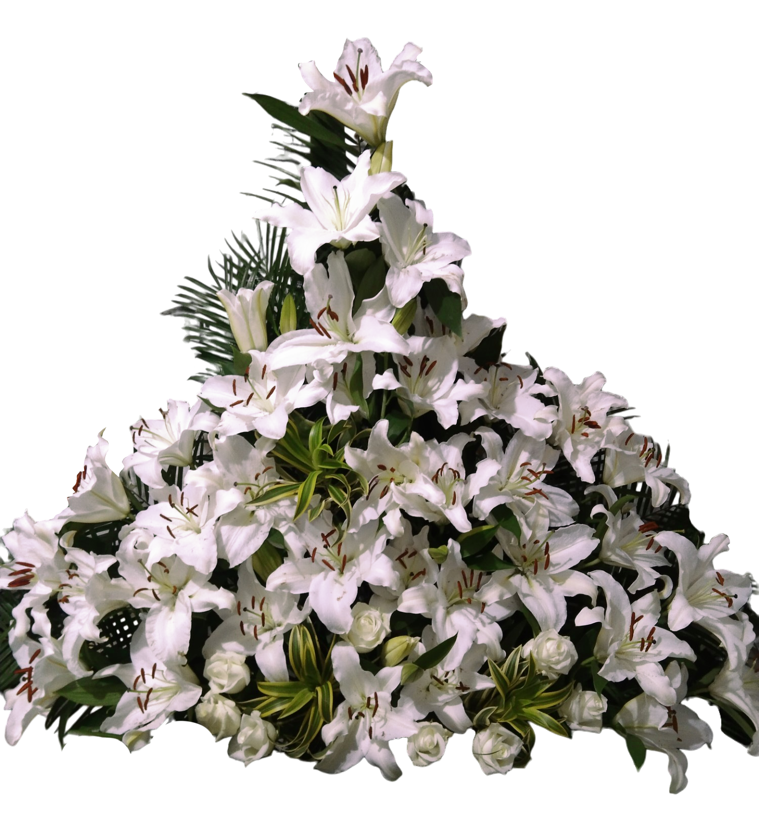 Cumbre Blanca Imperial