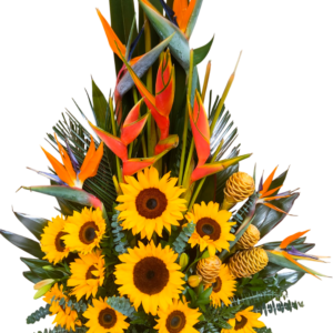 Explosión Dorada Tropical