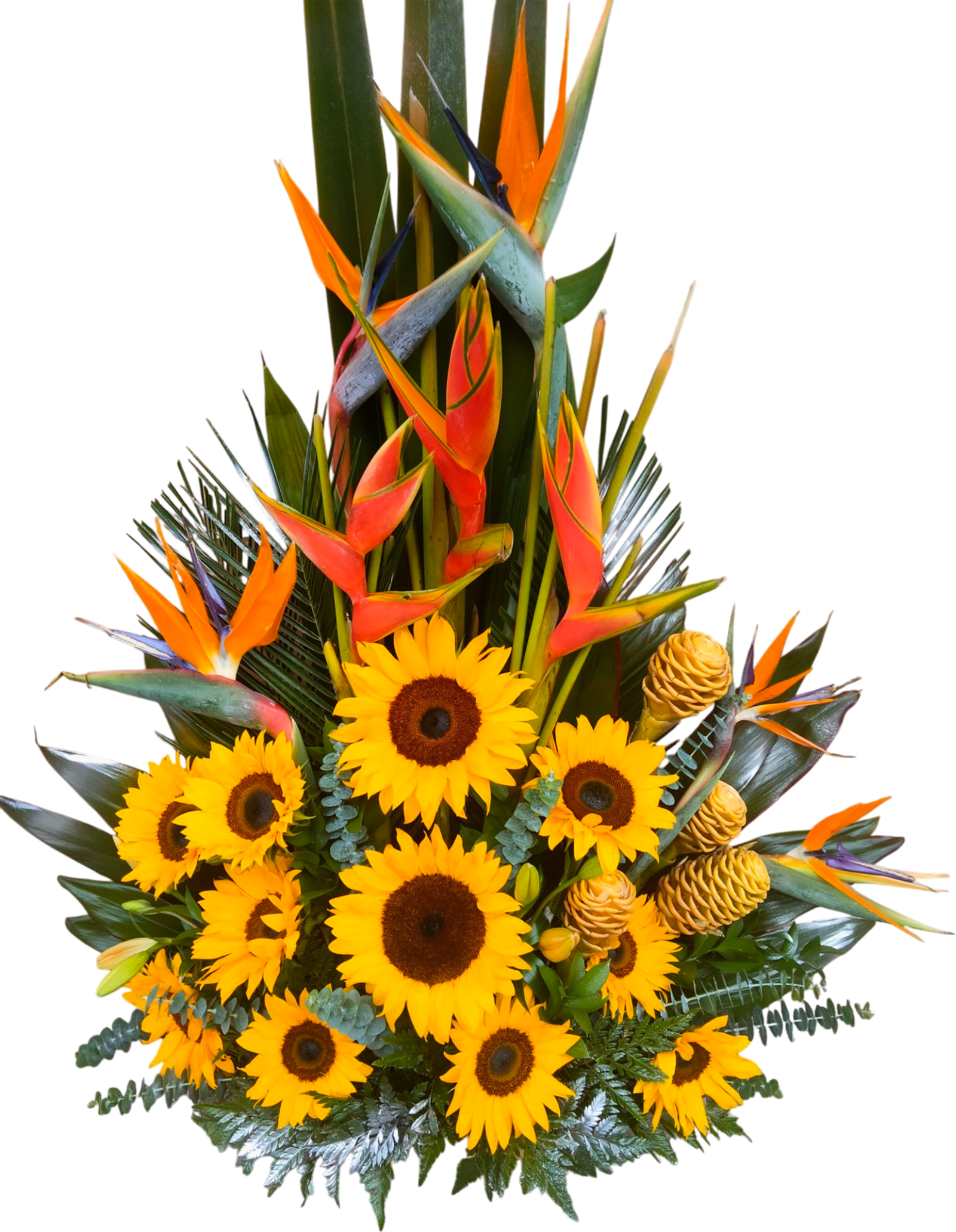 Explosión Dorada Tropical