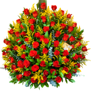 Explosión Rubí Dorada