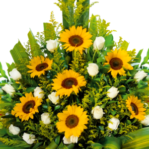 Jardín Aurora Dorada