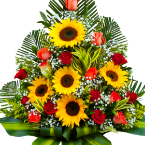 Piramidal Sol y Coral