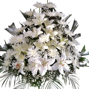 Pirámide Alba Celestial