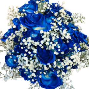Ramo Azul Infinito