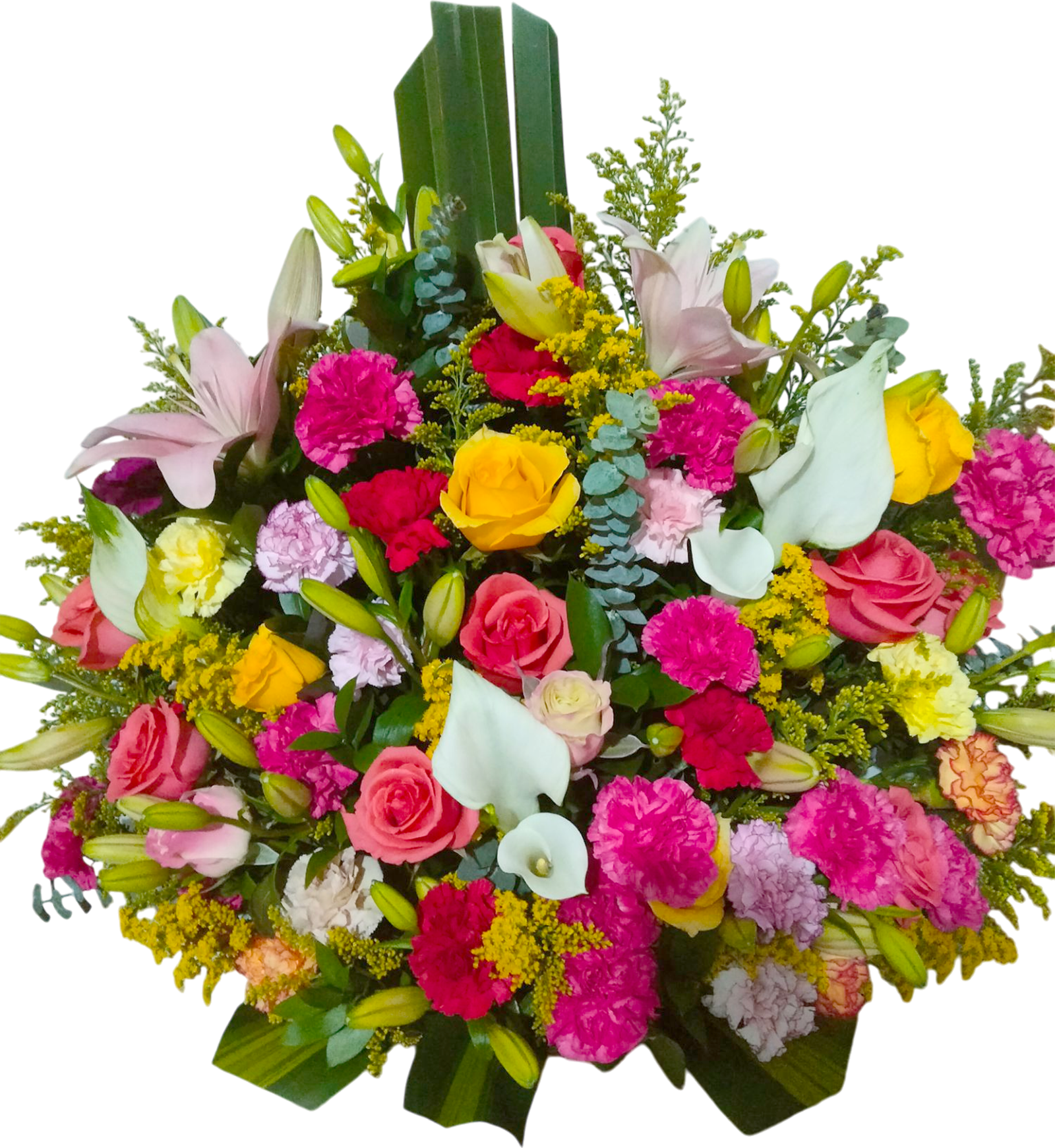 Sinfonía Aurora Floral