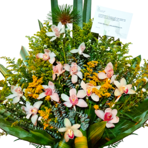 Sinfonía Imperial de Orquídeas