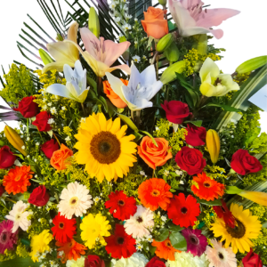 Sinfonía Radiante Tropical