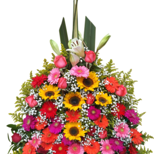 Sinfonía Radiante de Primavera