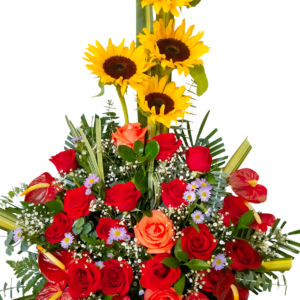 Torre Solar de Rosas y Anturios