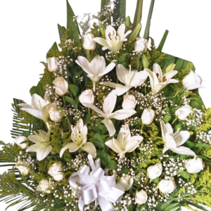 Triángulo Marfil Sereno